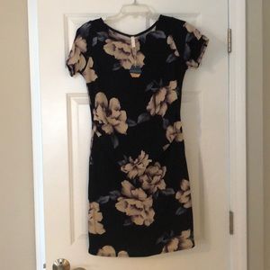 Pink Blush Maternity dress NWT